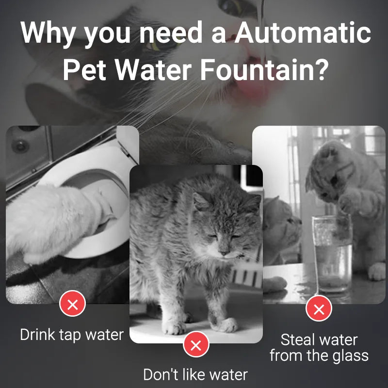 Transparent Cat Water Fountain Automatic Pet Water Dispenser for Cats Dog Smart Drinking Fountain Purifier Accessories